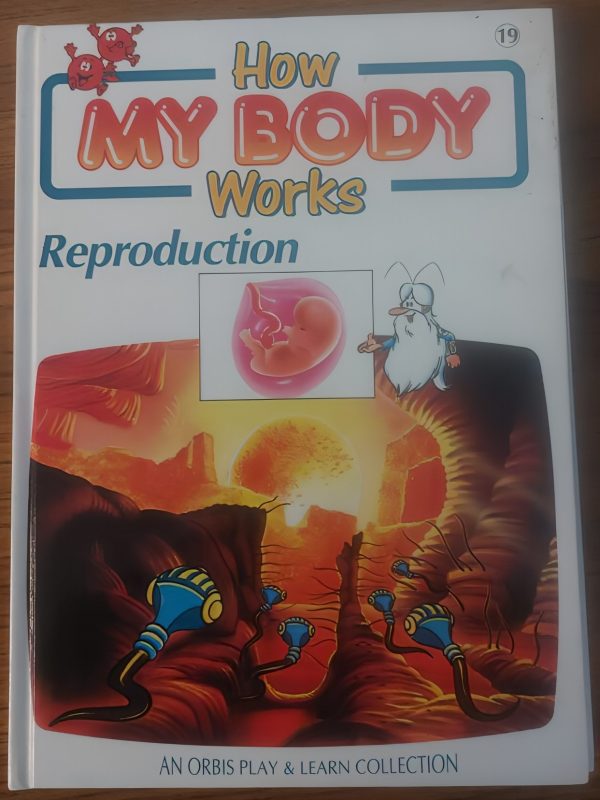 Reproduction - How My Body Works