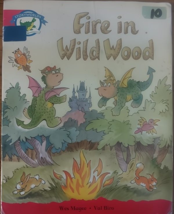 Fire in Wild Wood